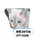 言葉あそび（個別スタンプ：28）