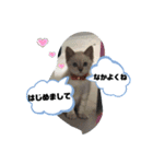 言葉あそび（個別スタンプ：32）