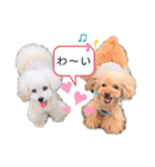 まろくるちゃん♡（個別スタンプ：1）