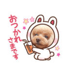 まろくるちゃん♡（個別スタンプ：5）