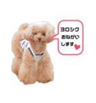 まろくるちゃん♡（個別スタンプ：8）