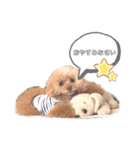 まろくるちゃん♡（個別スタンプ：10）