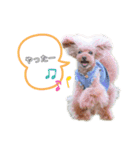 まろくるちゃん♡（個別スタンプ：14）