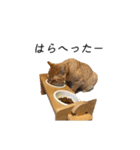 クレフとルディとキキ（個別スタンプ：10）