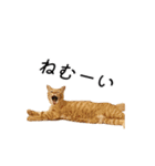 クレフとルディとキキ（個別スタンプ：12）