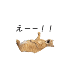 クレフとルディとキキ（個別スタンプ：15）
