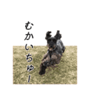 クレフとルディとキキ（個別スタンプ：17）