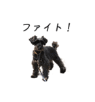 クレフとルディとキキ（個別スタンプ：22）