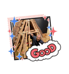 もつけ師2（個別スタンプ：10）