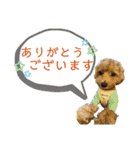 Belleの年末(2020)（個別スタンプ：2）