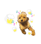 Belleの年末(2020)（個別スタンプ：4）