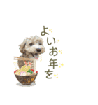 Belleの年末(2020)（個別スタンプ：7）
