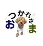 Belleの年末(2020)（個別スタンプ：14）