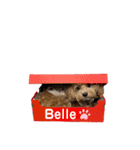 Belleの年末(2020)（個別スタンプ：16）