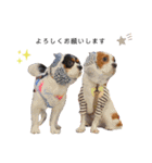 Cavalier kono.moi（個別スタンプ：10）