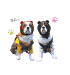 Cavalier kono.moi（個別スタンプ：29）