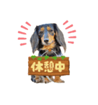 ミニチュアダックスの気ままなランチ⑨（個別スタンプ：6）