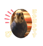 ぴーちゃんぴぴぴスタンプ（個別スタンプ：26）