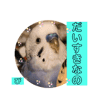 ぴーちゃんぴぴぴスタンプ（個別スタンプ：28）