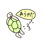 カメタロくんスタンプ 第3弾（個別スタンプ：3）