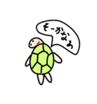 カメタロくんスタンプ 第3弾（個別スタンプ：19）