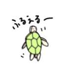 カメタロくんスタンプ 第3弾（個別スタンプ：34）
