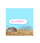 ハムハムスタンプちゃん（個別スタンプ：2）