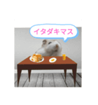 ハムハムスタンプちゃん（個別スタンプ：5）