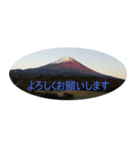 みーやの富士山（個別スタンプ：5）