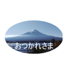 みーやの富士山（個別スタンプ：6）