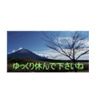 みーやの富士山（個別スタンプ：7）