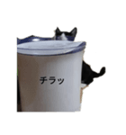 八丸スタンプ（個別スタンプ：5）