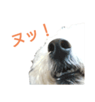 わたあめモック3（個別スタンプ：4）