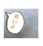 わたあめモック3（個別スタンプ：7）