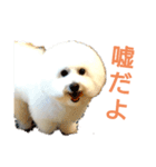 わたあめモック3（個別スタンプ：13）