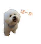 わたあめモック3（個別スタンプ：14）