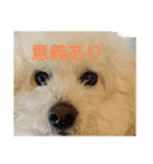わたあめモック3（個別スタンプ：18）