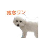わたあめモック3（個別スタンプ：20）