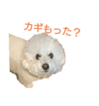 わたあめモック3（個別スタンプ：23）