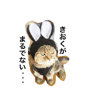 まんちかんの芽々吉くん＋（個別スタンプ：3）