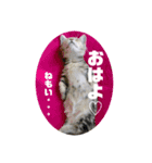 まんちかんの芽々吉くん＋（個別スタンプ：5）