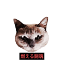燃える闘魂（個別スタンプ：1）
