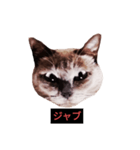 燃える闘魂（個別スタンプ：5）