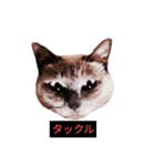 燃える闘魂（個別スタンプ：13）