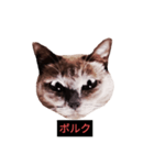 燃える闘魂（個別スタンプ：17）