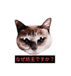 燃える闘魂（個別スタンプ：25）
