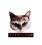 燃える闘魂（個別スタンプ：29）