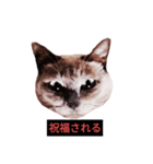 燃える闘魂（個別スタンプ：40）