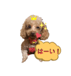 コハクと過ごすスタンプ（個別スタンプ：7）