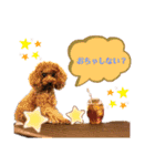 コハクと過ごすスタンプ（個別スタンプ：15）